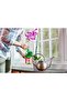 Miracle-gro Orchid Food, Fertilizer - 8oz - 4