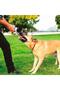 Ultra Tug Dog Tug-Of-War Game Ball Large Size - 4