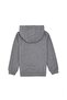 Men's Basic Hooded Sweatshirt Tekspor222590.0 - 2