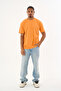 Men's 100% Organic Cotton Soft Textured Comfort Fit Crew Neck T-Shirt E222 - 2