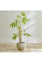 Nature Bamboo Plant - 120 CM Artificial Green Plant in Plastic Pot for Outdoor Decor - 2