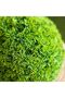 28 cm Artificial Topiary Ball with LED Solar Light - Durable Polyethylene - 1 Year Warranty - 3