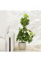 New 120 cm Artificial Umbrella Plant - Lush Green Indoor/Outdoor Decor with Base - 4