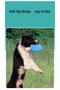 Durable Silicone Frisbee Dog Toy Flexible and Safe Catching Game Disc - 4