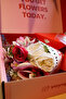 Fall İn Love - 4