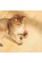 Charmy Brancy Catnip Cat Toy Red - 4