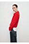 Shirt collar cardigan