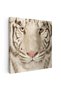 Tablou portret tigru alb, cod 3237