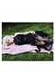 Lady Gaga cantareata, cod 2271 - 2