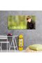 Justin Bieber cantaret, cod 2383 - 4