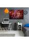Coco desene animate, cod 4874 - 5