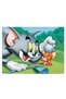 Tom si Jerry desene animate, cod 4861 - 2