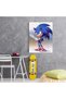 Tablou Sonic Ariciul, cod 3661 - 3