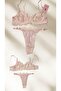 Underwire Lace Tulle Bra Panty Set