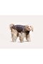 Extreme Wheather Coat | Cloudy Grey - 4