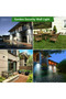 Solar Power LED Light - 3