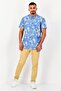 Men Regular Fit Short Sleeve Allover Print Casual Shirt, Multicolor - 2