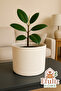 Jute Wicker Multi-Purpose Decorative Organizer Flower Pot Basket Garden Organizer Basket Width 20 Length 15 cm - 2