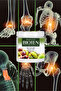 Huncalie Bioten Horse Chestnut Gel Cream 500ml 2 Pieces - 7