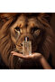LION ERKEK EXTRAIT DE PARFUM 60ML - 5