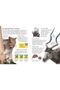 First Encyclopedia of Animals - 8