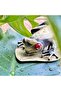حامل صفحة الضفدع - 3