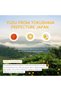 Yuzu Radiance Skincare Set - 5-Piece Skin Care Kit for Men & Women, Includes Cleanser, Toner, - 6