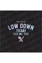 Low down Commercial Back Glass Hologram Sticker 20 X 15.5 cm