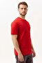 Basic Crew Neck T-Shirt 100 Cotton Galanthus Shirt - 4