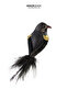 Christmas Ornament Clip-On Bird Black 12 cm - 3