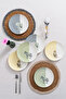 Set of 6 Safari Themed Cake Plates |   Savanda Breakfast & Dessert Presentation Plate 20cm