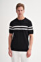 Crew Neck Regular Fit Line Patterned Knitwear T-Shirt