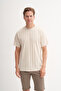 Polo Neck Regular Fit Cotton Textured T-Shirt