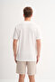 Crew Neck Regular Fit Knitted T-Shirt - 5