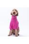 Fuchsia Pooh's Ashdown Piglet Dog Sweati Dog Outfit Cat Outfit - 3
