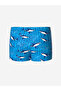 Alita City Quick-Drying Uv-Protective Boys' Boxer Swim Trunks with a Difference in Color - 4