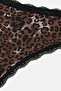 Beige-Brown-Black Women's 3-Piece Lace Detailed Patterned Brief Panties - 4