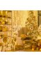 Daylight Color 10 Meter Decorative Led with 5 Different Light Modes and Additional Decorative Beads Model (5324) - 2