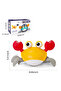 Cute Crab Toy - 6
