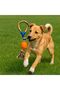 Durable Rope Ball Dog Toy – for Chewing and Fetch Games - 4