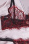 Women's Underwear Brode Lace Bra Set - 2