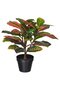 FEJKA Artificial potted plant, in/outdoor Croton, 12 cm