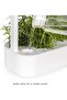 Click & Grow Smart Garden 9 Indoor Home Garden (Includes 3 Mini Tomato, 3 Basil, 3 Chili Pepper Plan - 4