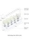 & Indoor Herb Garden Kit with Light | Easier than Hydroponics System | Smart Garden f - 4