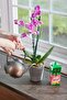 Miracle-gro Orchid Food, Fertilizer - 8oz - 6