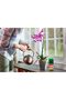 Miracle-gro Orchid Food, Fertilizer - 8oz - 3