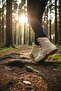 Men's Outdoor Trekking Boots with Zipper - 3