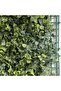 Artificial Green Fence 100x200cm - Durable Outdoor Garden Accessory with 2 Year Warranty - 2