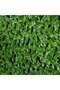 Artificial PVC Willow Fence - 100x200 CM - Green Outdoor Garden Accessory - 2-Year Warranty - 2