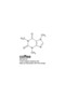 COFFEE FORMULA - 3